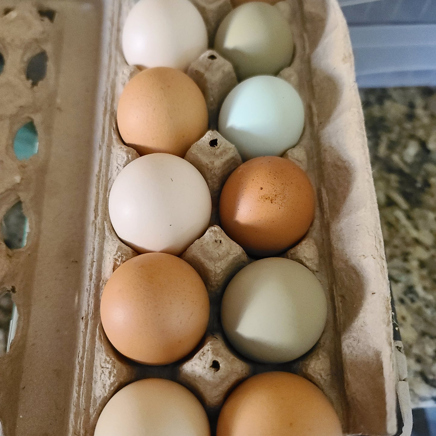 Farm fresh eggs
