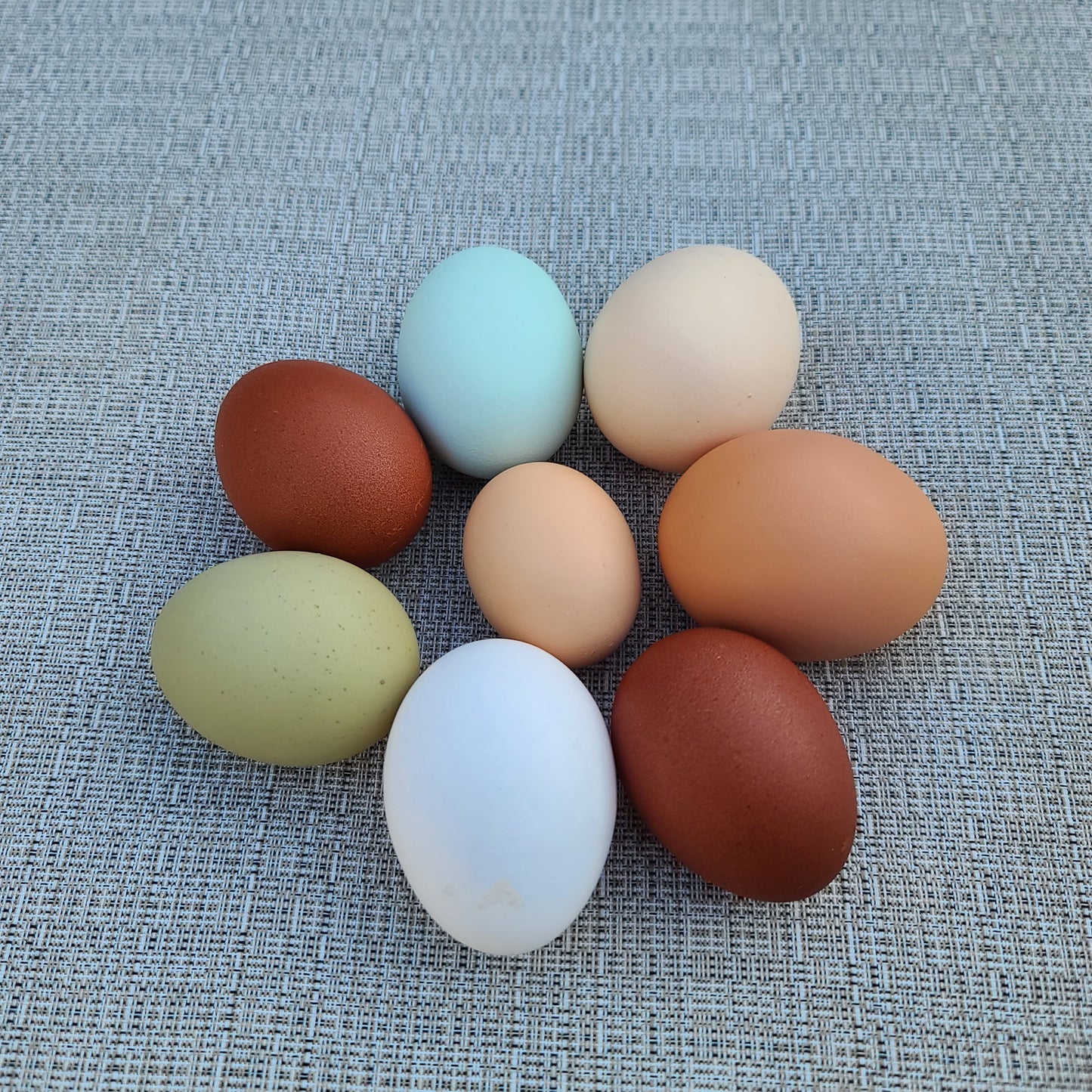 Farm fresh eggs