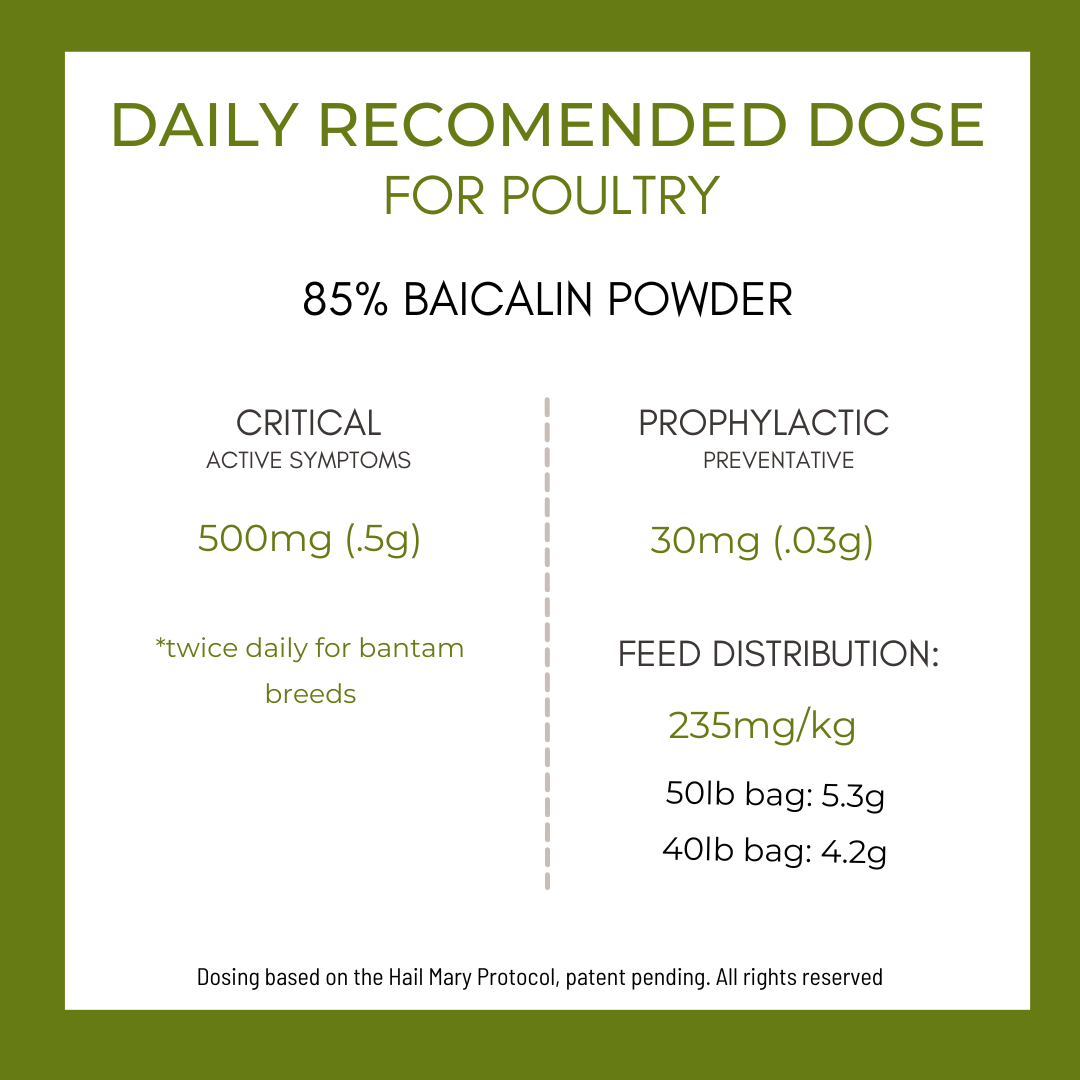 Fortiflock™ Positive Support 85% Baicalin powder
