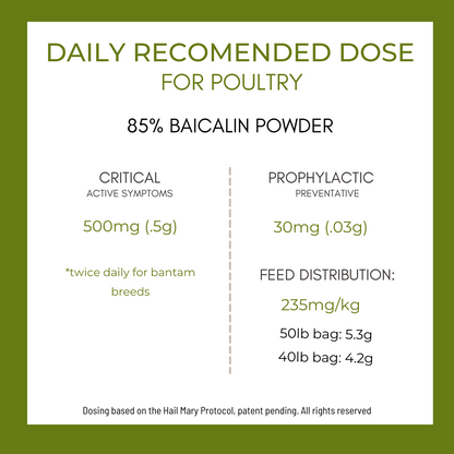 Fortiflock™ Positive Support 85% Baicalin powder