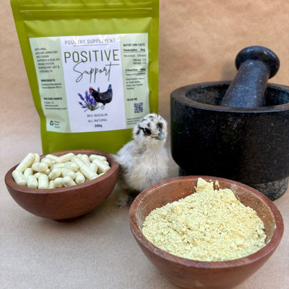 Fortiflock™ Positive Support 85% Baicalin powder